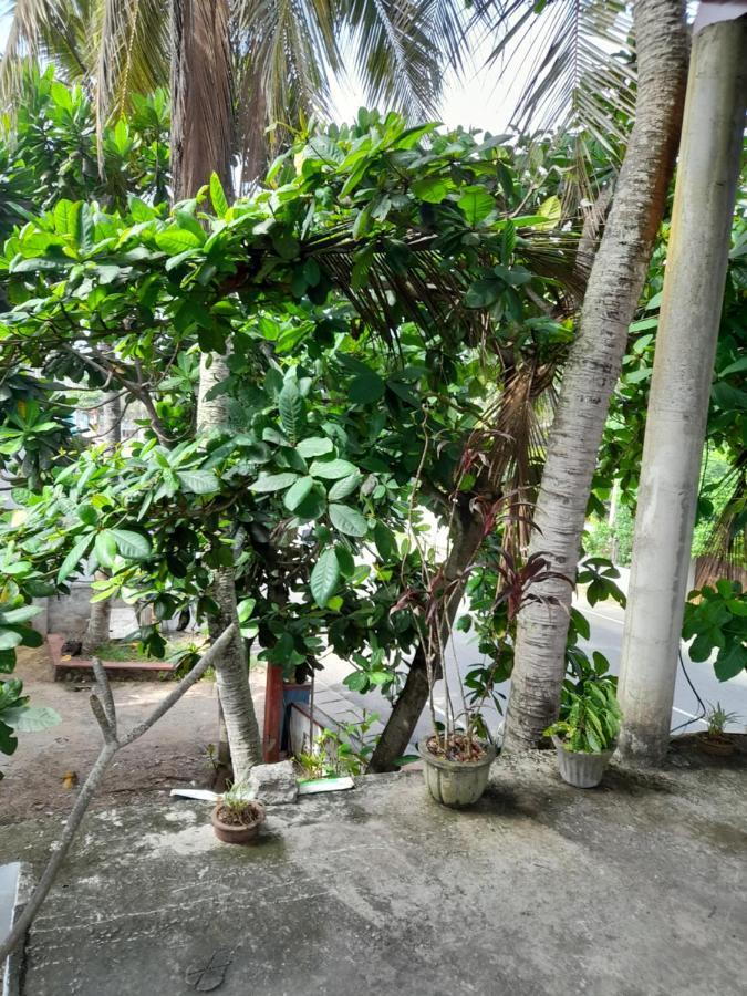 Hotel Remember Hikkaduwa Ngoại thất bức ảnh